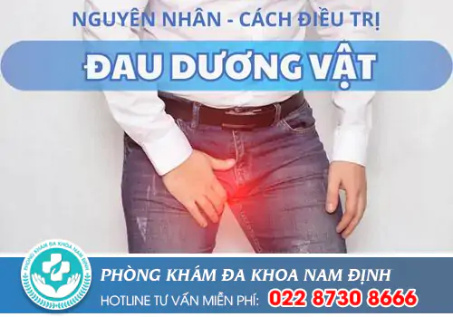 Dương Vật Đau - Nguyên Nhân Và Cách hỗ trợ điều trị